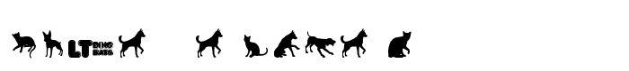 предпросмотр шрифта Cats vs Dogs LT