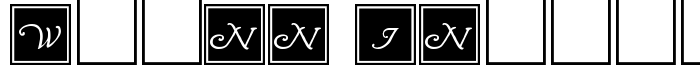 шрифт Wrenn Initials
