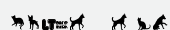 шрифт Cats vs Dogs LT
