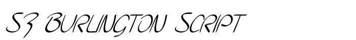 скачать шрифт SF Burlington Script предпросмотр шрифта SF Burlington Script