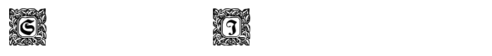 скачать шрифт Schmuck-Initialen предпросмотр шрифта Schmuck-Initialen